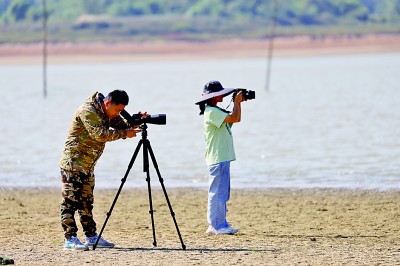 롰ȥ